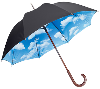 Special Umbrella